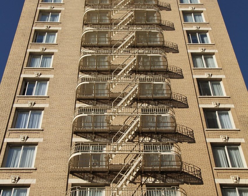 Dinas Damkar Temanggung Tangani Pohon Tumbang di Hutan Kota